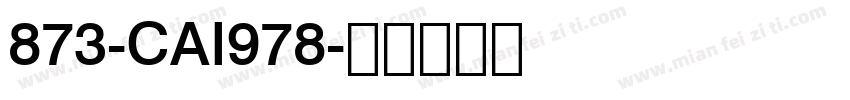 873-CAI978字体转换