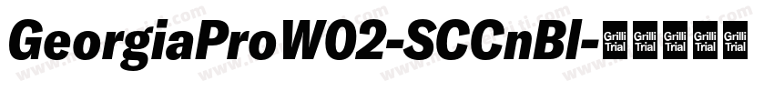 GeorgiaProW02-SCCnBl字体转换