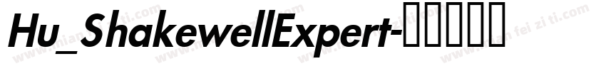 Hu_ShakewellExpert字体转换