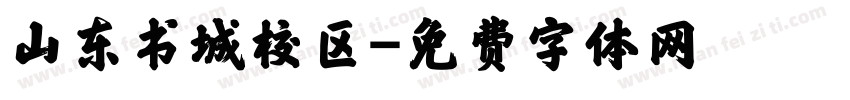 山东书城校区字体转换