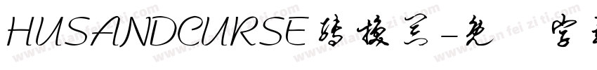 HUSANDCURSE转换器字体转换