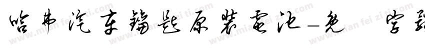 哈弗汽车钥匙原装电池字体转换