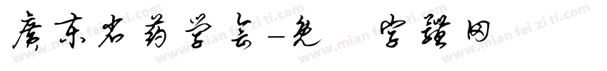 广东省药学会字体转换