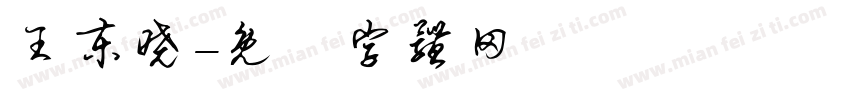 王东晓字体转换