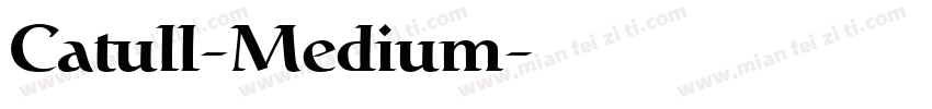 Catull-Medium字体转换