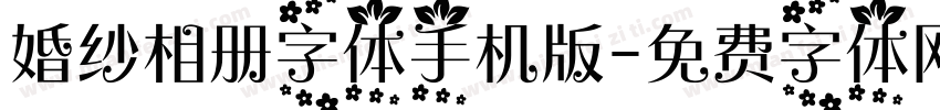 婚纱相册字体手机版字体转换