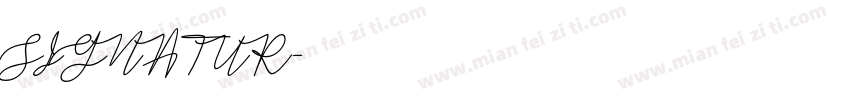 SIGNATUR字体转换