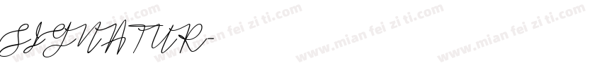 SIGNATUR字体转换