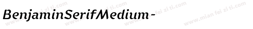 BenjaminSerifMedium字体转换 BenjaminSerifMedium字体转换
