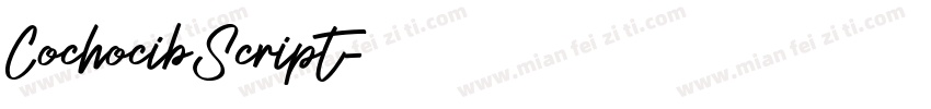 CochocibScript字体转换