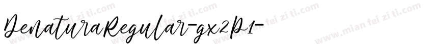 DenaturaRegular-gx2P1字体转换