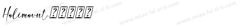 Holimount字体转换