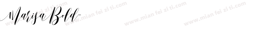 MarisaBold字体转换