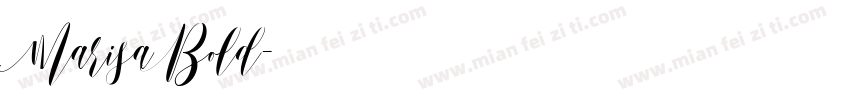 MarisaBold字体转换