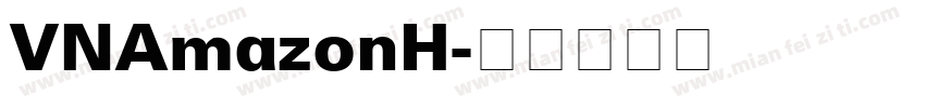 VNAmazonH字体转换