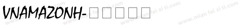 VNAmazonH字体转换