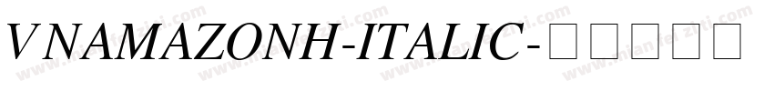 VNAmazonH-Italic字体转换