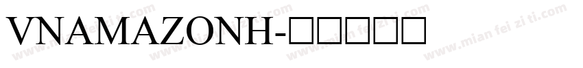 VNAmazonH字体转换