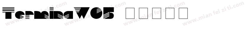 TerminaW05字体转换