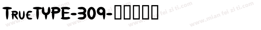 TrueTYPE-309字体转换