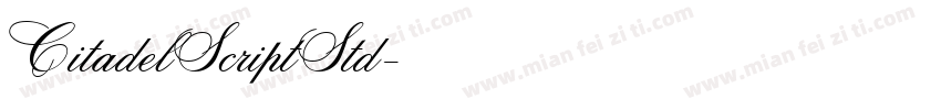 CitadelScriptStd字体转换