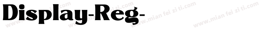 Display-Reg字体转换