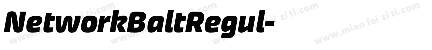 NetworkBaltRegul字体转换