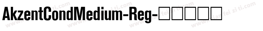 AkzentCondMedium-Reg字体转换