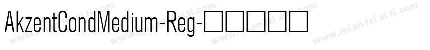 AkzentCondMedium-Reg字体转换