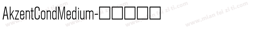 AkzentCondMedium字体转换