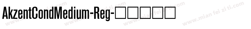 AkzentCondMedium-Reg字体转换