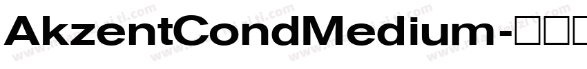AkzentCondMedium字体转换