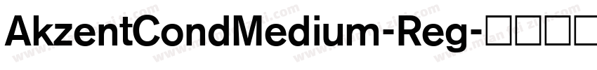 AkzentCondMedium-Reg字体转换