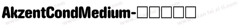 AkzentCondMedium字体转换