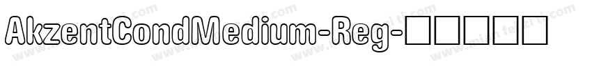 AkzentCondMedium-Reg字体转换