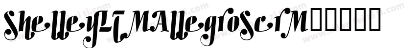 ShelleyLT-AllegroScr字体转换
