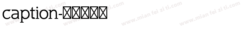 caption字体转换