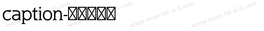 caption字体转换