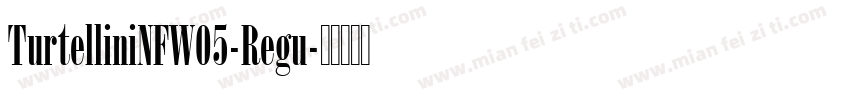 TurtelliniNFW05-Regu字体转换