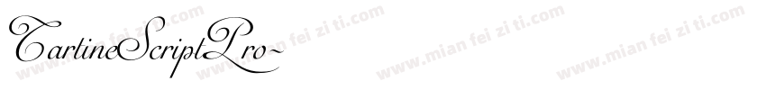 TartineScriptPro字体转换