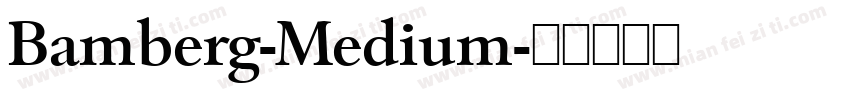Bamberg-Medium字体转换