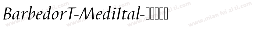 BarbedorT-MediItal字体转换