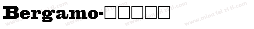 Bergamo字体转换