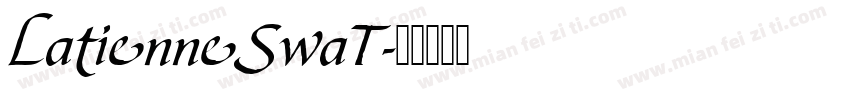 LatienneSwaT字体转换