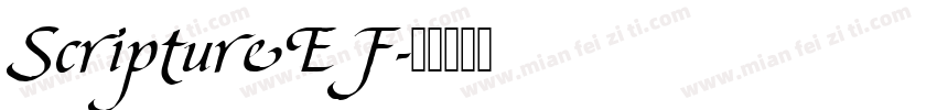 ScriptureEF字体转换