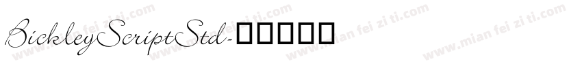 BickleyScriptStd字体转换