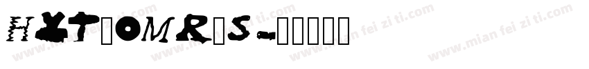 HYT_OMR_Smalltiff字体转换