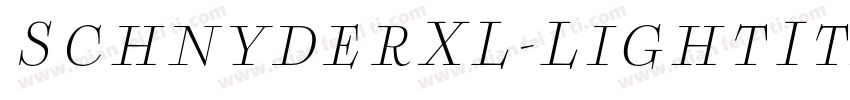 SchnyderXL-LightItal字体转换