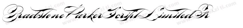 BradstoneParkerScriptLimitedFreeVersion-EEY4字体转换