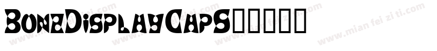 BonzDisplayCapS字体转换